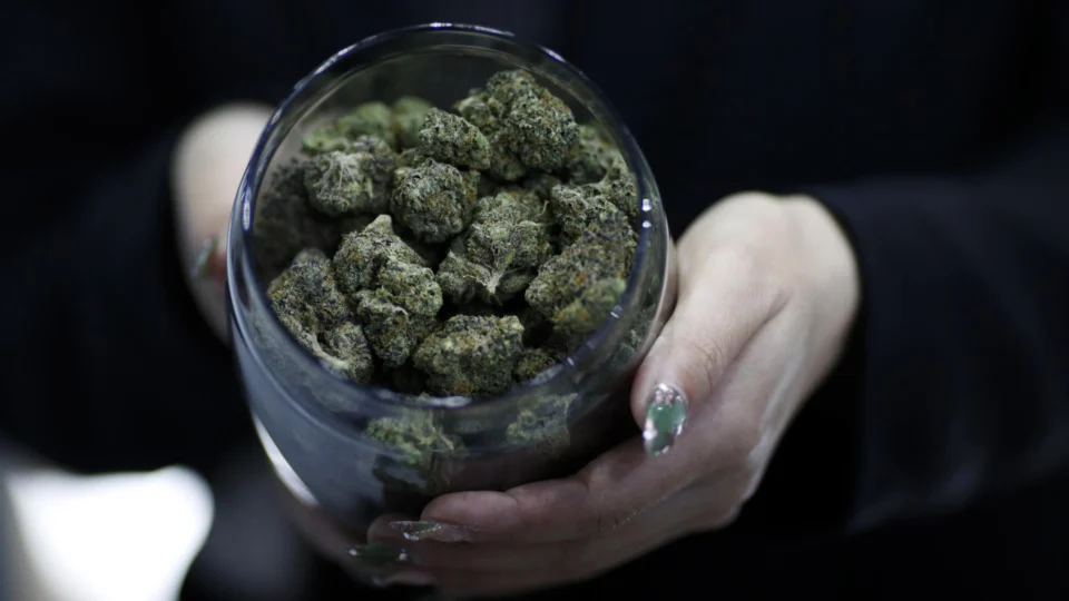Medicamentos a base de cannabis deixam de exigir receituários azuis ou amarelos, mais rígidos.