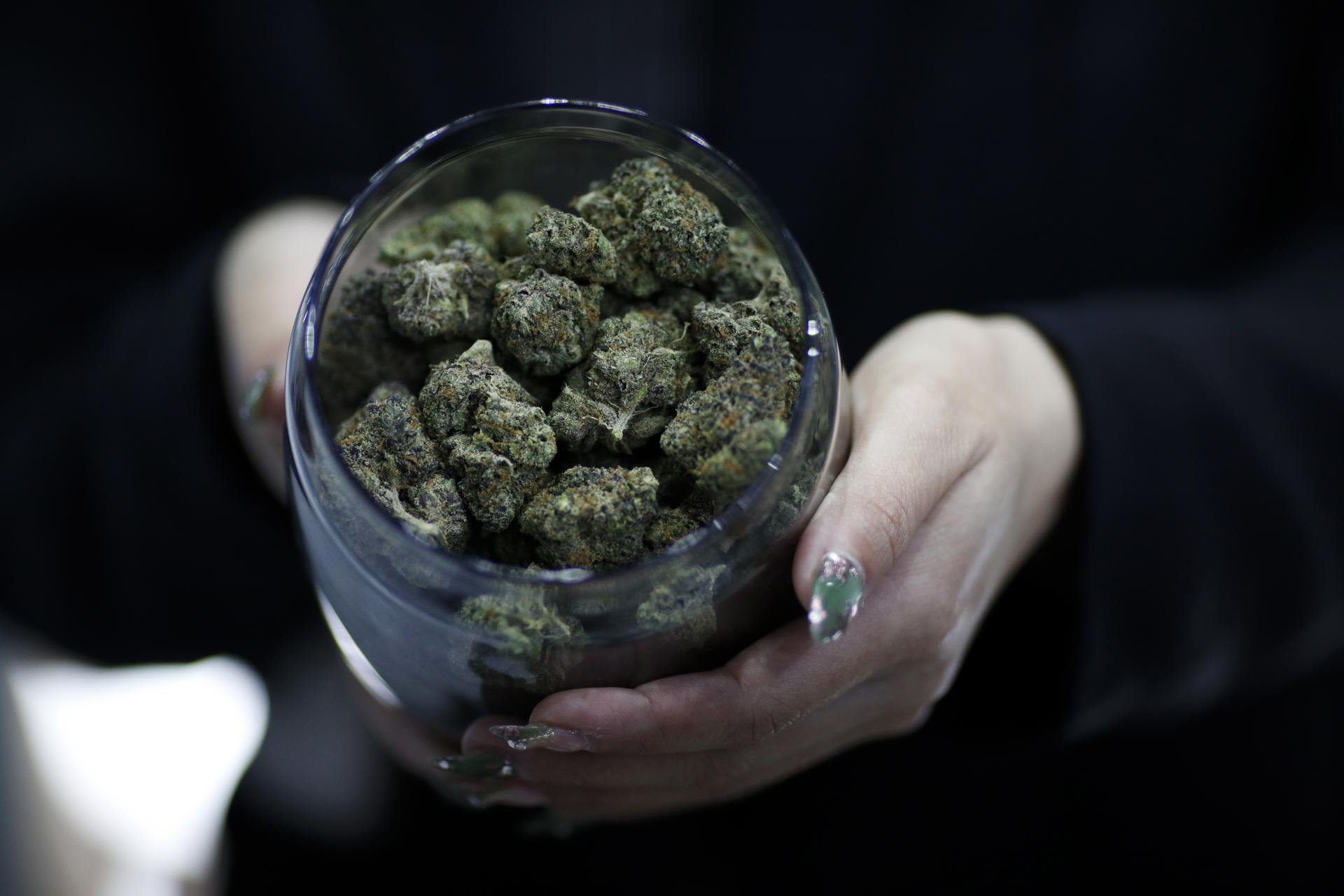 Medicamentos a base de cannabis deixam de exigir receituários azuis ou amarelos, mais rígidos.