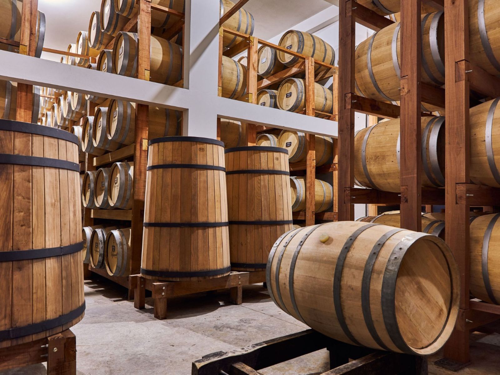 Como bebida catarinense chegou ao topo da Cúpula da Cachaça