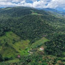Economista afirma que valor ainda está muito abaixo do rendimento para produção rural das áreas. Imagem referente a matéria