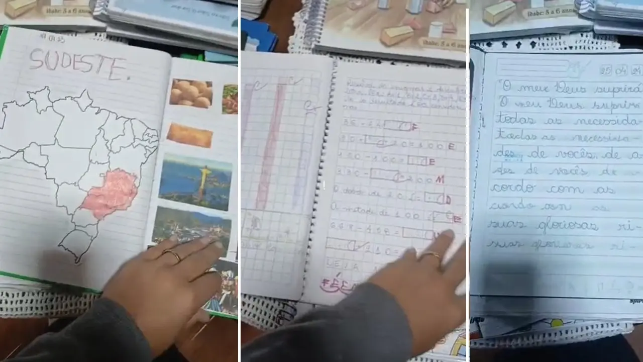 A família manteve o ensino domiciliar dos filhos por dois anos e registrou todos os conteúdos aplicados.