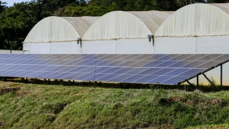 painéis de energia solar fotovoltaica