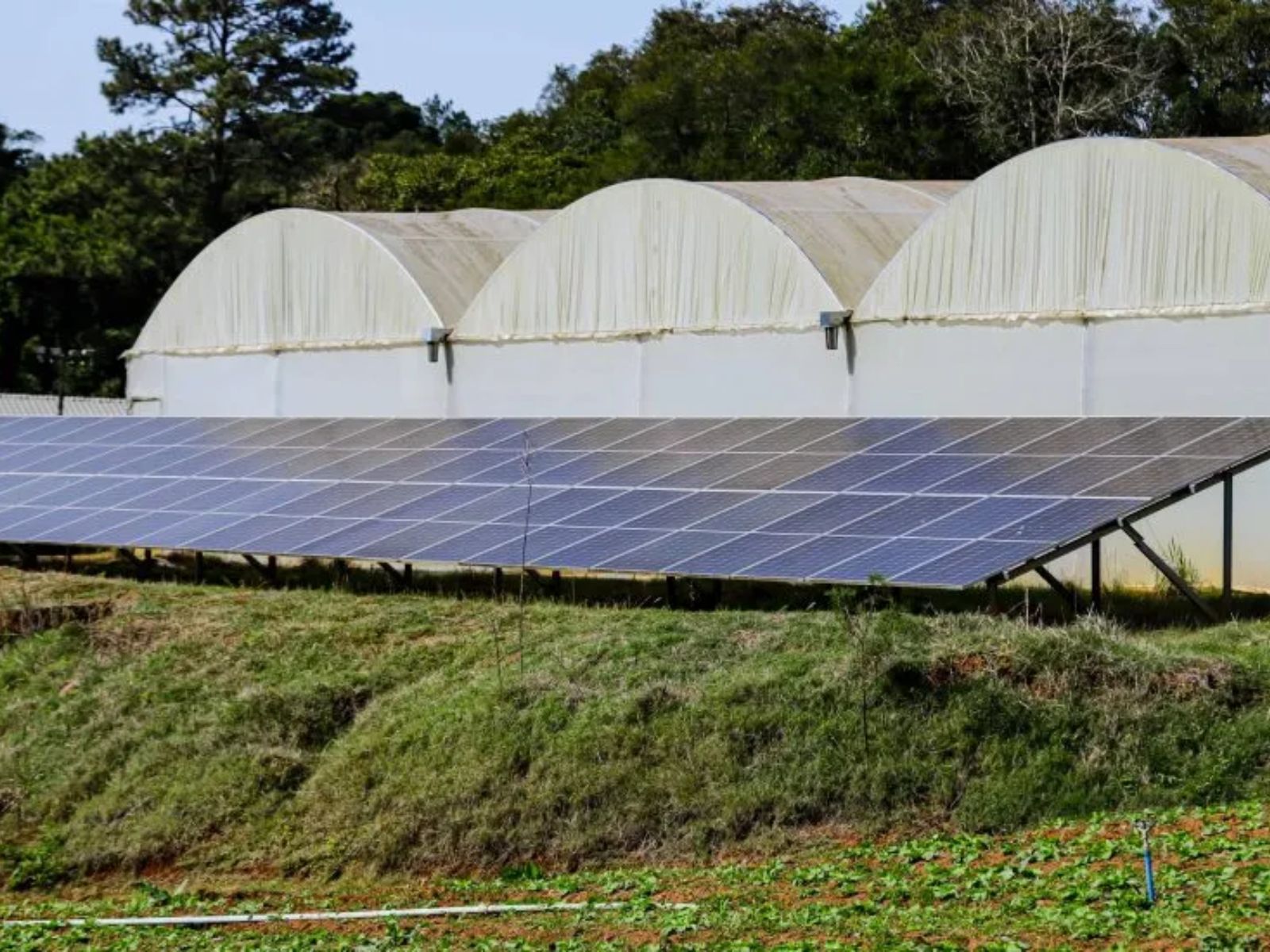 Sistema de captura da energia solar com placas fotovoltaicas em propriedade rural em Colombo.