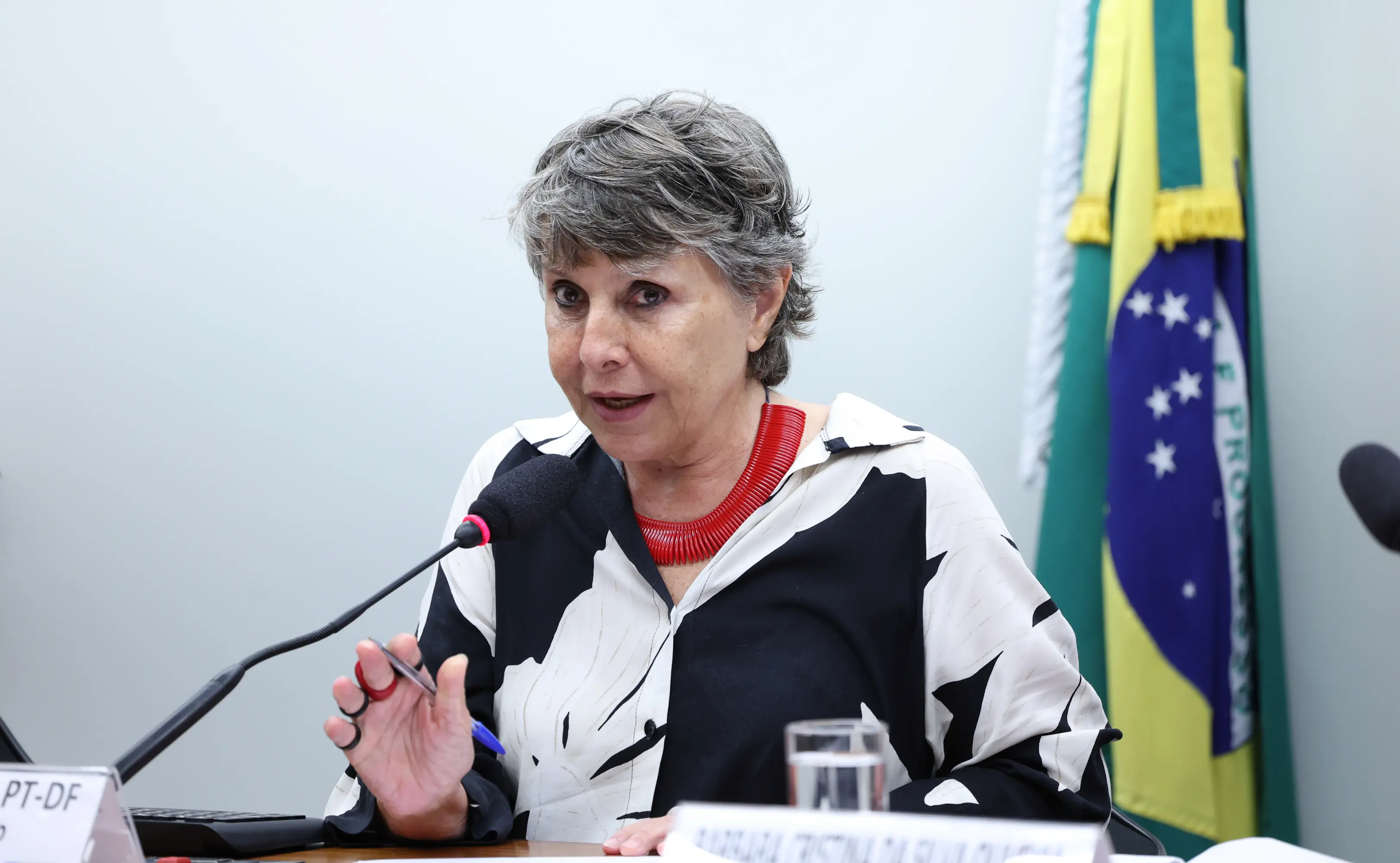 Kokay iniciou sua trajetória na esquerda por meio do movimento estudantil, passou pelo sindicalismo no setor bancário e, por fim, entrou na política por meio do Legislativo distrital. 