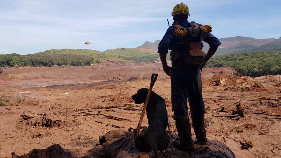 Cães de resgate do Corpo de Bombeiros de SC