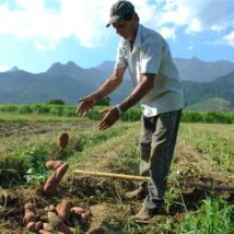 Projeto prevê uso de recursos do Pré-Sal, entre outras fontes, para criar linha de crédito e renegociar dívidas de produtores rurais afetados poe eventos climáticos e conflitos geopolíticos internacionais Imagem referente a matéria