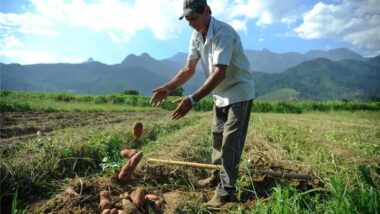 Projeto prevê uso de recursos do Pré-Sal, entre outras fontes, para criar linha de crédito e renegociar dívidas de produtores rurais afetados poe eventos climáticos e conflitos geopolíticos internacionais