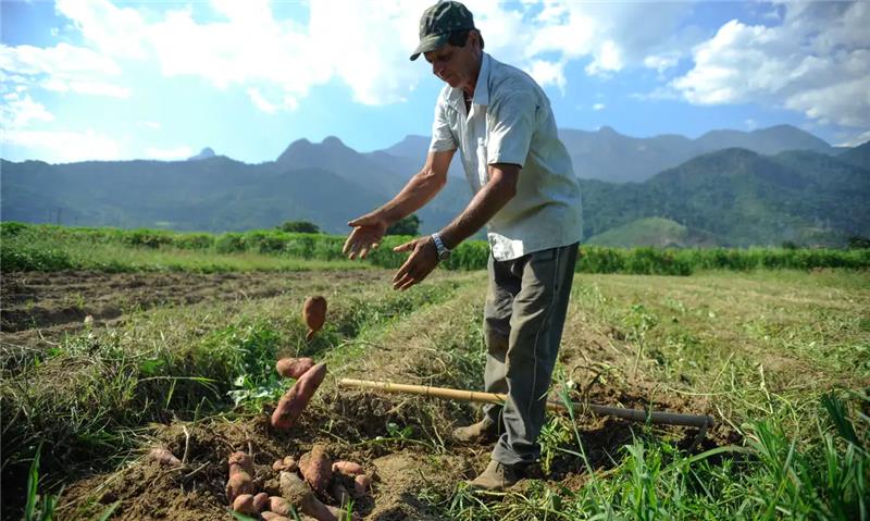 Governo vai orientar voto contra PL que permite renegociação de dívidas do agro
