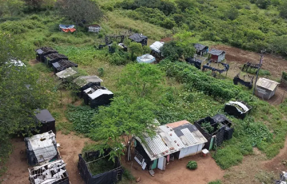 Inspeção em abril de 2026 identificou cerca de dez pessoas, enquanto argumentação para suspensão fala em 200. 