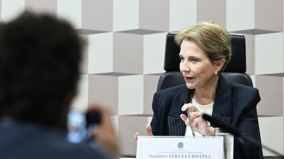Tereza Cristina confirma conversa com Flávio Bolsonaro sobre vice-presidência