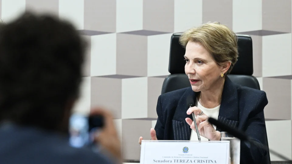 Em nota, a senadora disse que se conversou pela primeira vez sobre a possibilidade durante reunião com Flávio na quarta-feira (29)