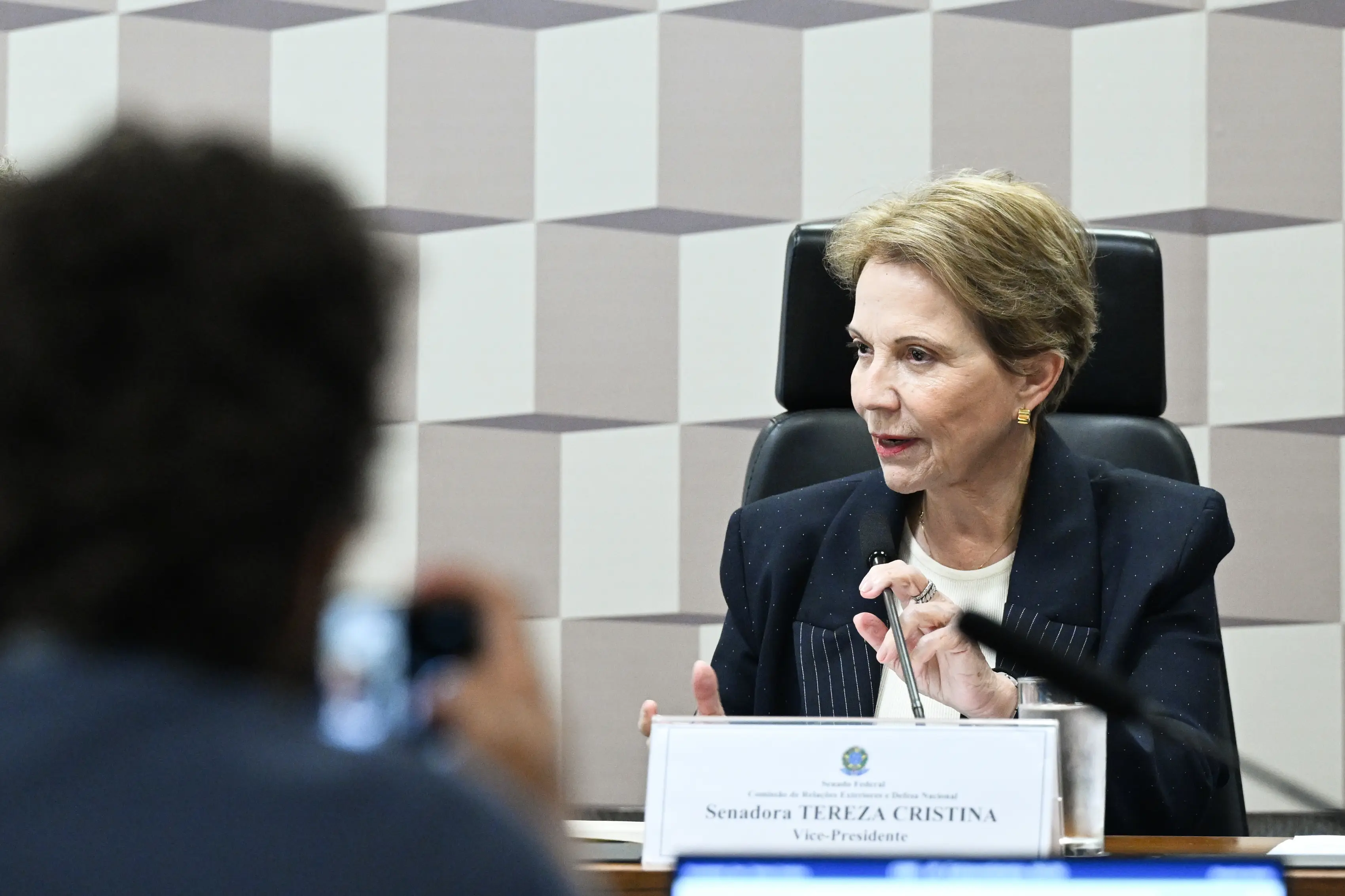 Ex-ministra da Agricultura  tem mandato no Senado até 2031 e diz que quer ser presidente da Casa. 