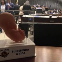 O PDL 3/2025 derruba resolução de 2024 do Conanda, que estabelece diretrizes para o atendimento de crianças e adolescentes vítimas de violência sexual. Imagem referente a matéria