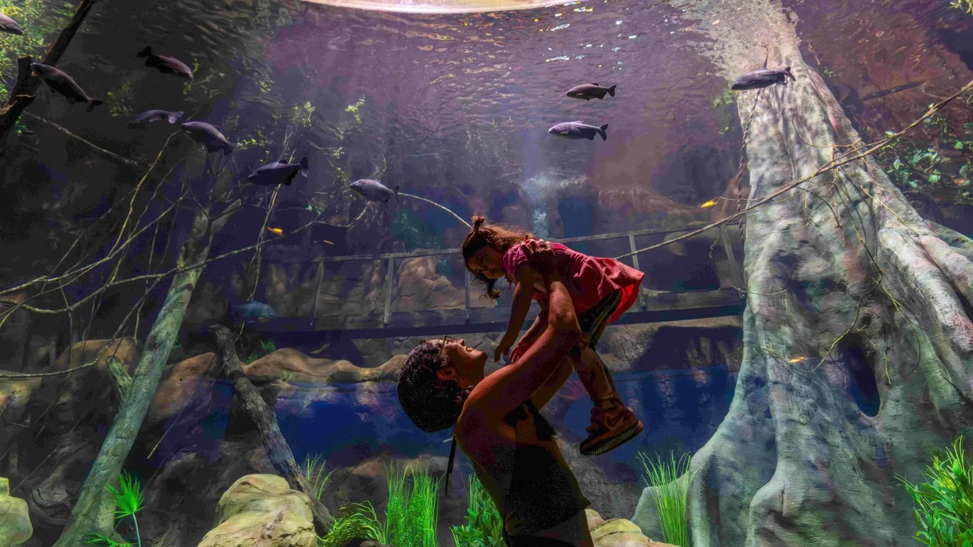 Mãe e filha vivenciam experiência imersiva no AquaFoz, atrativo que une lazer, educação ambiental e contato com a biodiversidade durante a campanha Junho Verde.