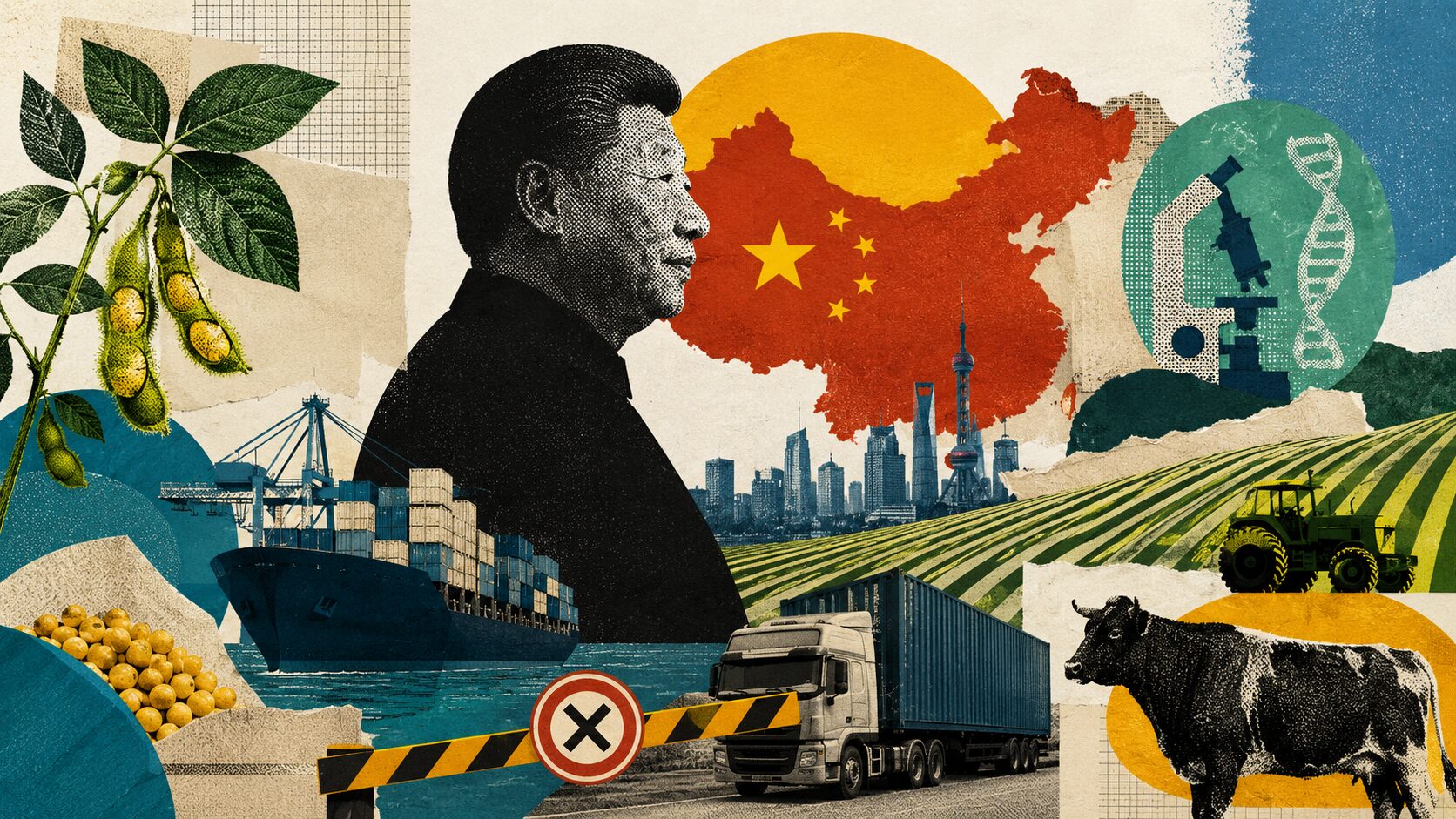 Como o novo plano econômico da China impacta o agronegócio do Brasil?