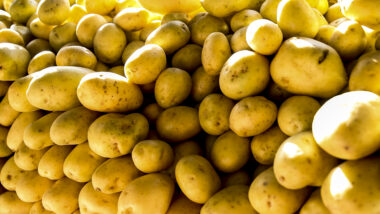 Índice de preços demonstra encarecimento puxado por alta nos alimentos, sobretudo na batata-inglesa. Imagem referente a matéria