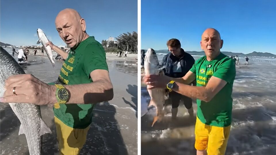 Por que o governo federal encerrou a pesca da tainha em SC antes do prazo?