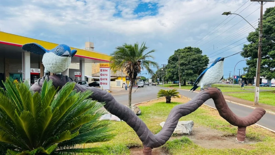 A cidade do norte do Paraná criou uma característica única ao nomear todas as ruas com espécies de pássaros.