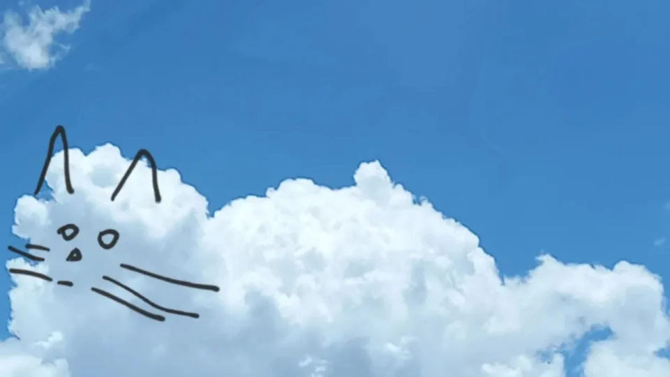 NUVENS