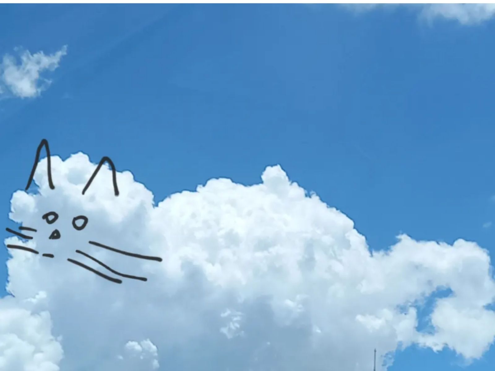 Uma nuvem em forma de gato.