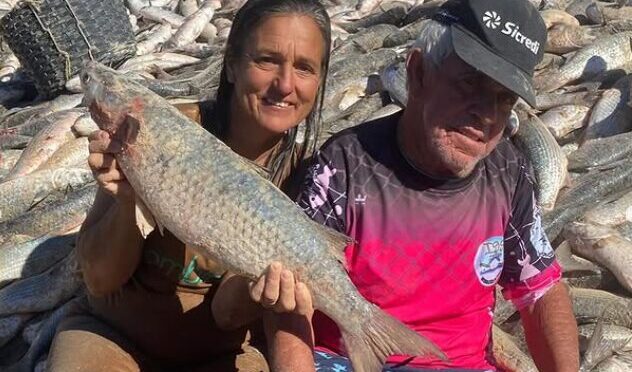 Por que o governo decidiu ampliar a cota da pesca da tainha em Santa Catarina?