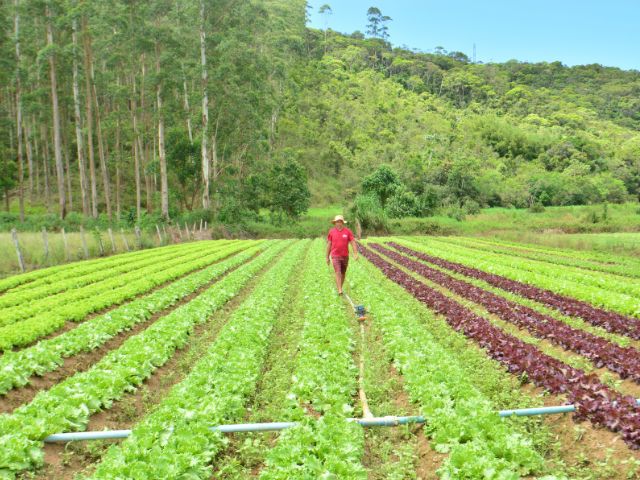 Governo de SC anuncia R$ 750 milhões para segurar renda e produção no campo e na pesca