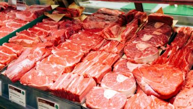 ue carne brasil importação