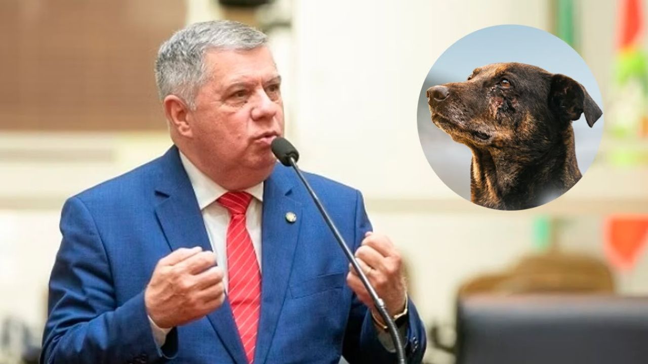 Lei Orelha é aprovada na Alesc e deputado pressiona por CPI para revisar investigação do caso