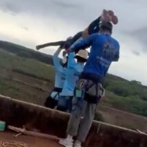 Sobre a mulher jogada da ponte MULHER PONTE