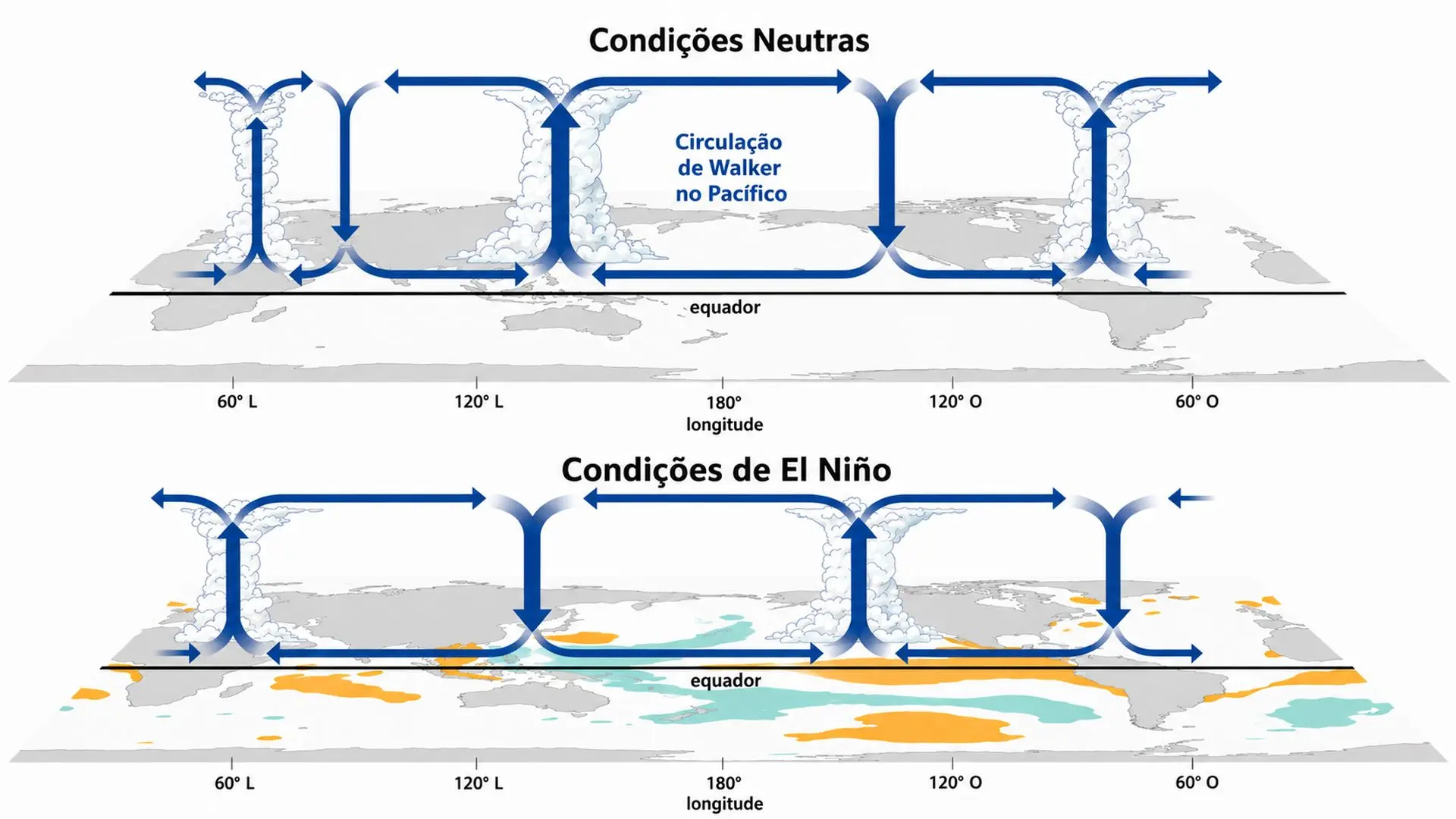 O fenômeno El Niño altera a circulação atmosférica sobre o Oceano Pacífico e pode aumentar a frequência e a intensidade das chuvas no Sul do Brasil, incluindo Santa Catarina.