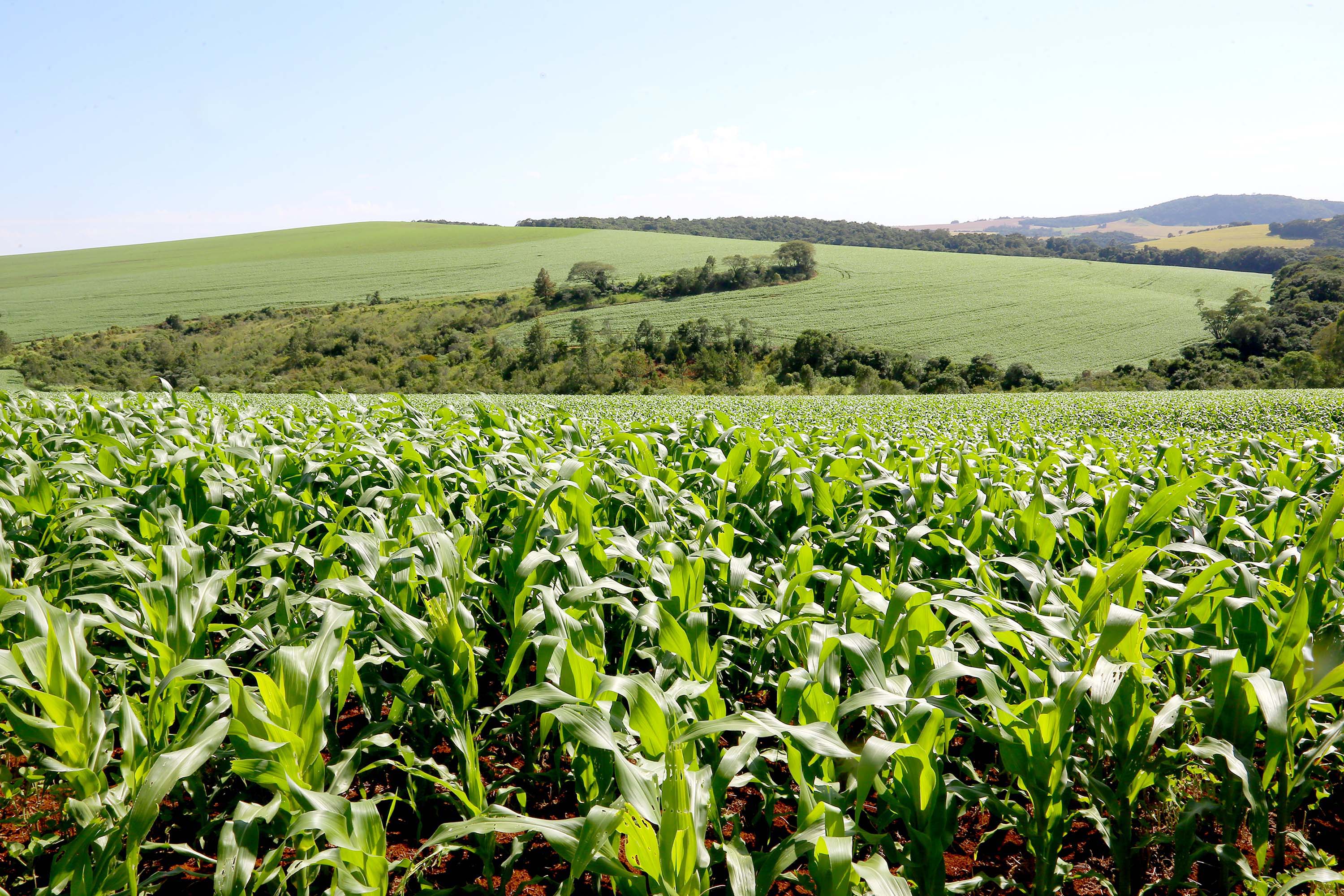 Conflitos internacionais pressionam o mercado de fertilizantes e elevam os custos da próxima safra no Paraná.