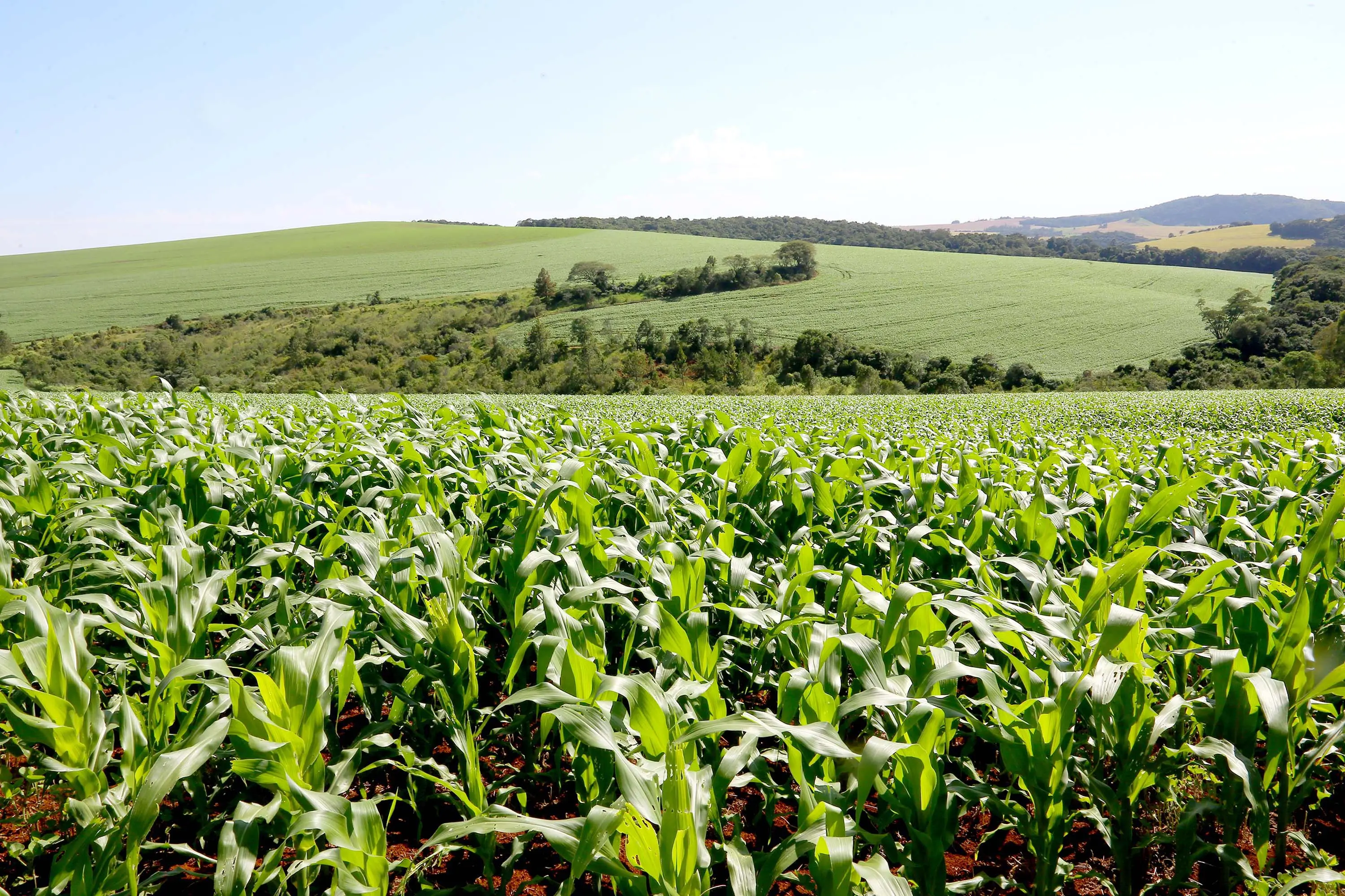 Conflitos internacionais pressionam o mercado de fertilizantes e elevam os custos da próxima safra no Paraná.
