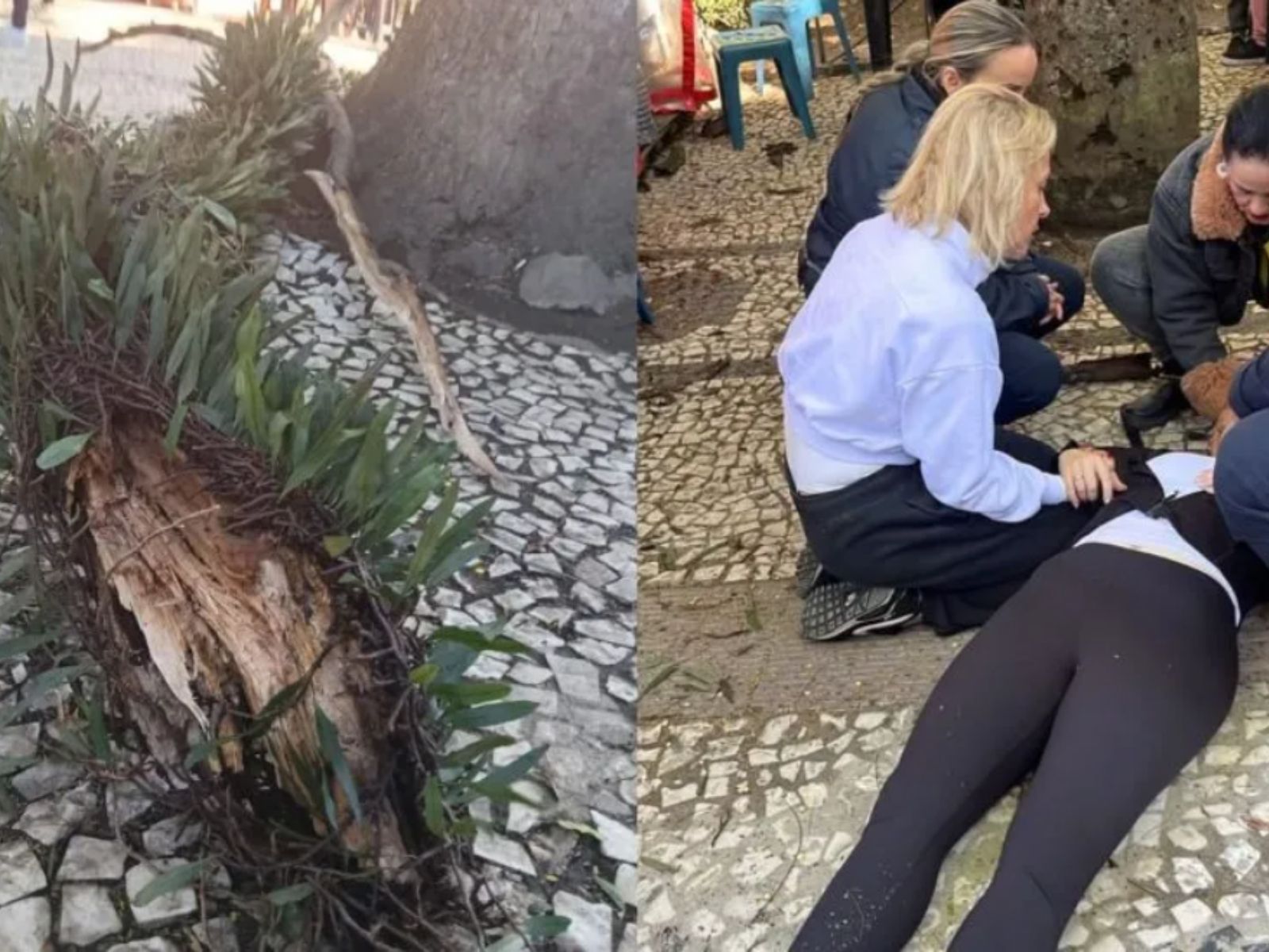 Ana Beatriz e o galho que a atingiu: quando é para acontecer, amigo…