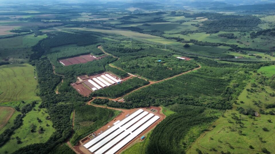 Expansão produtiva da Lar no Paraná avança com apoio do Governo do Estado