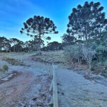 Massa de ar polar marca início do inverno e derruba temperaturas no Brasil. Imagem referente a matéria