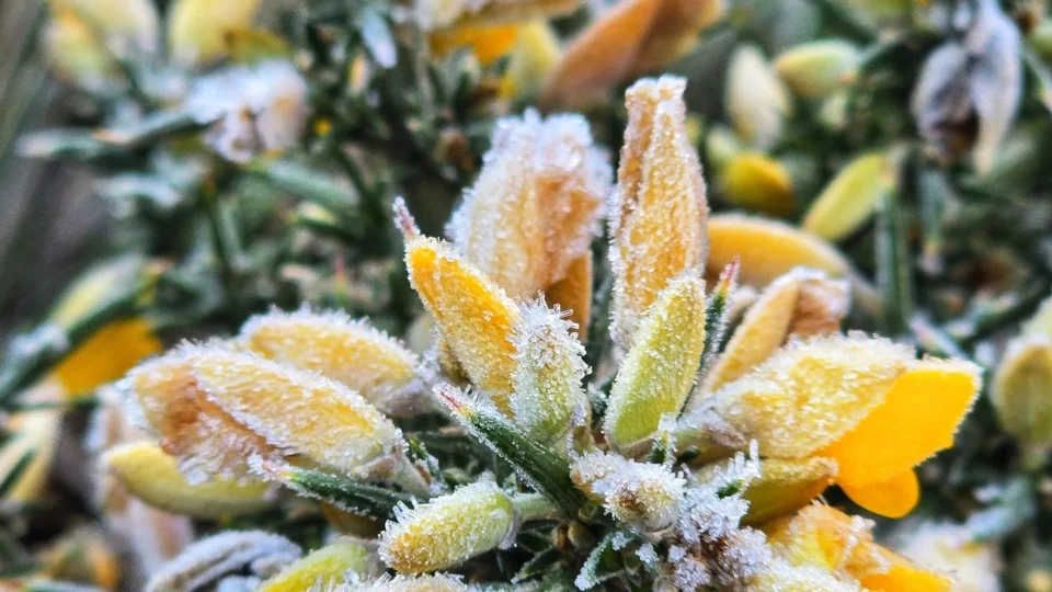 Inverno de 2026 começa com massa polar, geadas e risco de temporais.