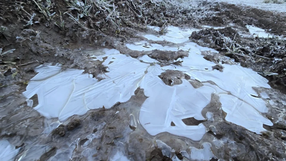 Bom Jardim da Serra (SC) registrou -7,3°C na madrugada desta quinta-feira (18), a menor temperatura do Brasil em 2026, segundo a Climatempo.