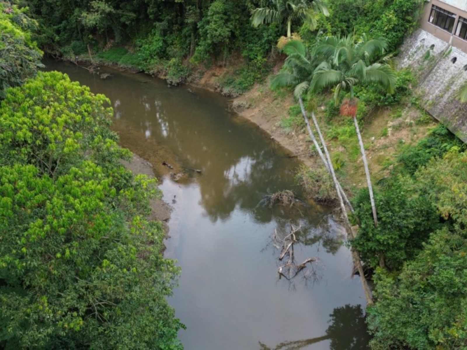 Mutirão de limpeza de córregos e rios faz parte de ações para diminuir impactos do El Niño.