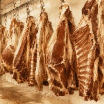 Bloqueio europeu à carne brasileira está marcado para entrar em vigor em 3 de setembro. editorial uniao europeia carne brasileira