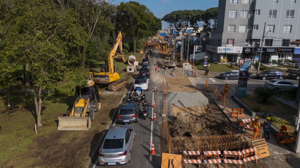 Ibama multa prefeitura de Curitiba por corte de árvores em avenida