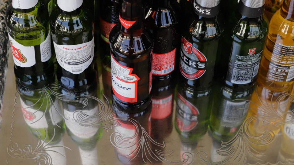 Nova fábrica da Ambev reforçará a cadeia produtiva da empresa no Paraná com investimento de R$ 70 milhões.