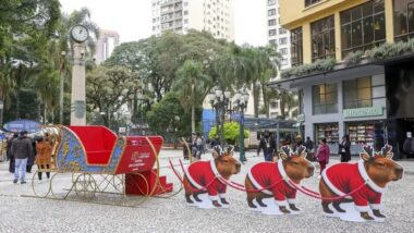 Natal de Curitiba 2026 terá mais de 150 atrações, novidades em diferentes pontos da cidade e expectativa de movimentar R$ 800 milhões na economia local.