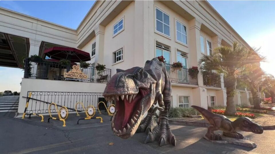 Braquiossauro de 10 metros e mais 19 dinossauros estarão em exposição do Madalosso