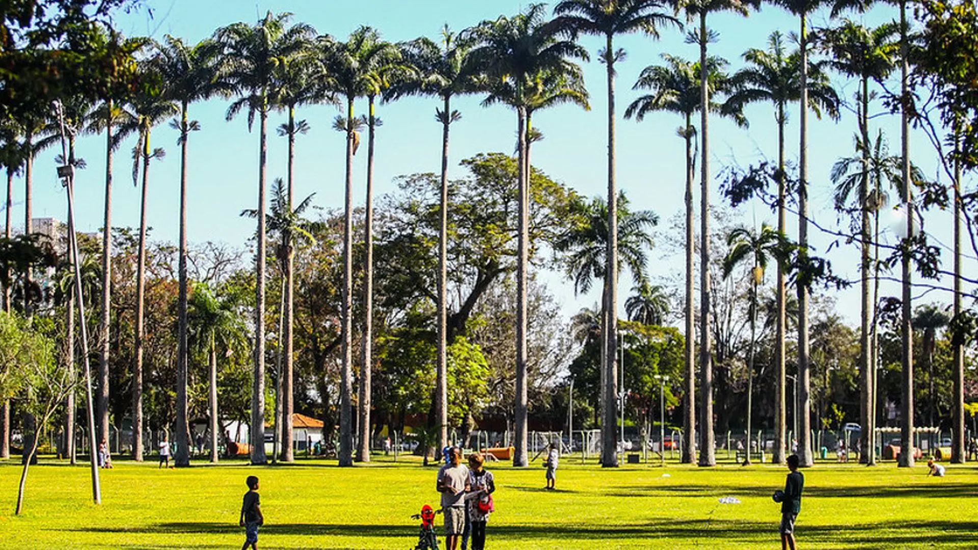 Parques e áreas verdes integram a estratégia de desenvolvimento urbano de São José dos Campos, ampliando as opções de lazer, convivência e contato com a natureza para a população.