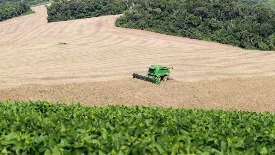 Paraná supera recorde e colhe 26,3 milhões de toneladas na safra de verão.