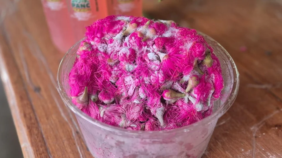 Congelada, a flor do jambeiro não perde a estrutura. No freezer, seus estames mantêm a textura e a cor vibrante para colorir pratos e drinques o ano todo.