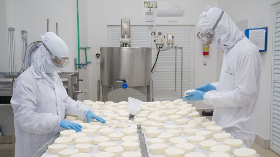 10 curiosidades surpreendentes sobre o alimento mais versátil do mundo