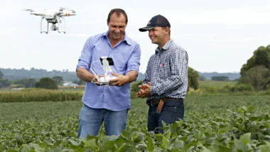 Startups do agronegócio no Paraná desenvolvem tecnologias que aumentam a eficiência no campo.
