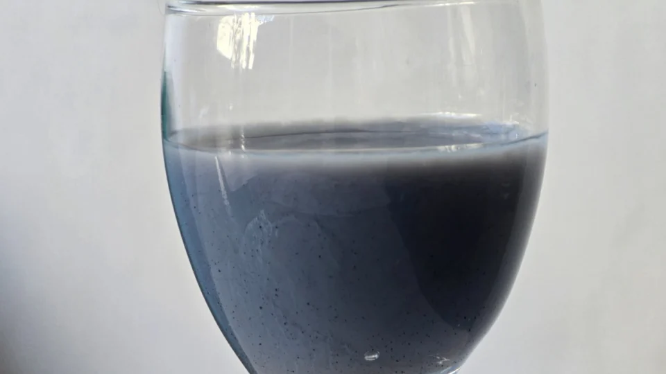Própolis azul vem despertando o interesse de pesquisadores por suas características únicas.