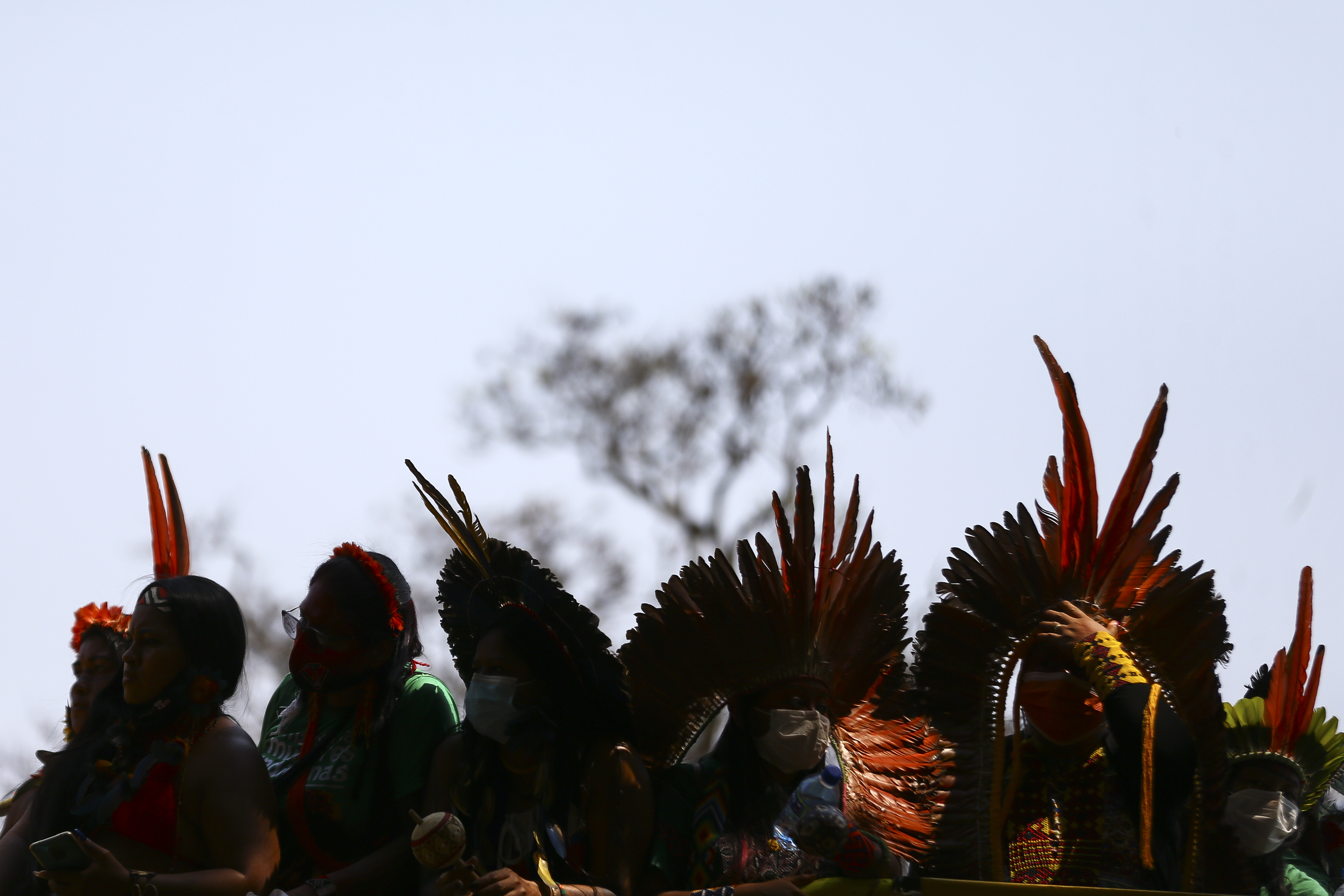 Documento do Senado detalha falhas do governo Lula para os indígenas yanomami